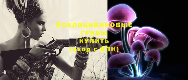 эйфоретик Дмитриев