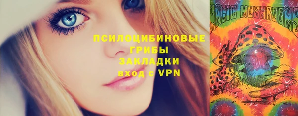 альфа пвп Дмитровск