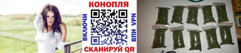 Шишки марихуана SATIVA & INDICA  Купить где  Жуковка 